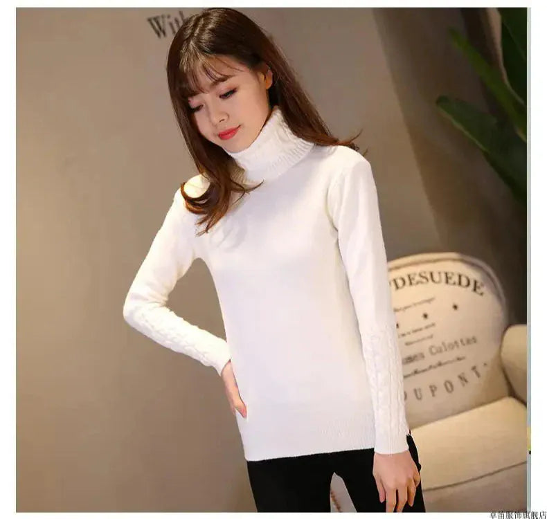 T-line Women Sweater , Pullovers, Autumn / Winter pullover Warm Female Sweater (2 weeks delivery)