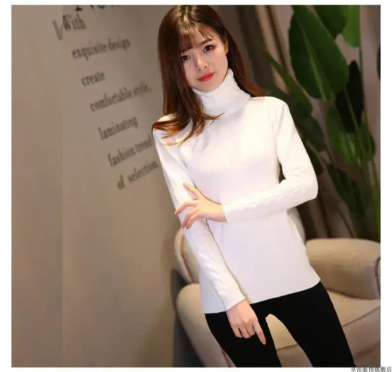 T-line Women Sweater , Pullovers, Autumn / Winter pullover Warm Female Sweater (2 weeks delivery)